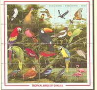M/S MNH  GUYANA  Tropical Birds,  La GUYANE  Neuve Feuille Oiseaux Tropicales - Sin Clasificación