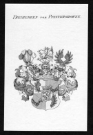 Freiherren Von Pfeffershowen - Pfeffershowen Wappen Adel Coat Of Arms Heraldry Heraldik Kupferstich - Prenten & Gravure