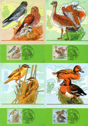 BRD 5 Maximumkarten "Wohlfahrt: Bedrohte Vogelarten" Mi 2015/19 ESSt 8.10.1998 BERLIN ZENTRUM - Maximum Cards