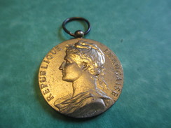 Médaille Du Travail/France/Or/Ministère Du Travail/Sans Ruban/Attribuée/M CARON / Honneur Travail/ 1976   MED100 - Frankreich