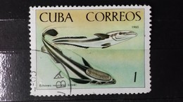RARE 1965 CUBA 1 CORREOS FISH LINNE STAMP TIMBRE - Ongebruikt