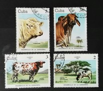 RARE SET LOT 1984 CUBA 2+3+5+30 CORREOS COW STAMP TIMBRE - Neufs