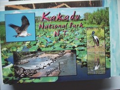 Australië Australia NT Kakadu National Park - Non Classificati