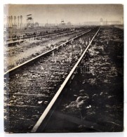 Adam Kaczkowski: Auschwitz-Birkenau. Oswiecim, é.n., Panstwowe Muzeum. Kiadói... - Unclassified