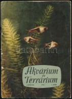 1956 Akvárium és Terrárium. I. évf. 1. Szám., 1956. Szeptember-október.... - Non Classificati