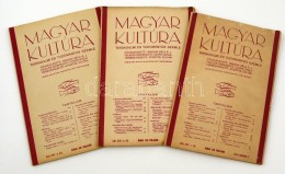 1934 Magyar Kultúra XXI. évf, 1-3. Számok. Szerk.: Bangha Béla, Czapik Gyula, Nyisztor... - Non Classificati