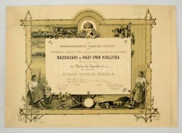 1901 A Marosvármegyei Ipaegyesület KitüntetÅ‘ Díszoklevele Wekerle... - Non Classificati