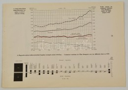 Cca 1920 A Magyar Birodalom Külkereskedelmi Forgalma évenként 1882-tÅ‘l 1913-ig, A... - Altri & Non Classificati