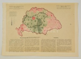 Cca 1920 Kenyérmag (búza, Rozs) Felesleg ás Hiány Megyénként, A... - Other & Unclassified