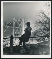 1964 Budapest, Terheléspróba Az Erzsébet Hídon, Kilátás A... - Altri & Non Classificati