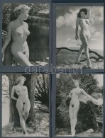 MÅ±vészi Aktok, 8 Db, Kartonlapok Két Oldalára Ragasztva, 12x9 Cm / 8 Nude Photos, 12x9 Cm - Altri & Non Classificati