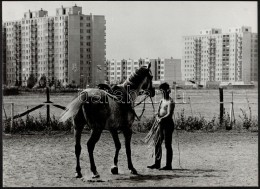 Cca 1970 Kalocsai Rudolf (?-?) Budapesti FotómÅ±vész 2 Db Feliratozott Vintage Fotója, 37x30... - Altri & Non Classificati