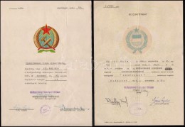 1956-1964 Szeszipari Dolgozó Bizonyítványai, Oklevelei, 4 Db - Non Classificati