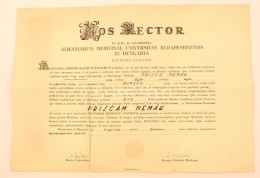 1954 Orvosi Diploma Szakadással - Non Classificati