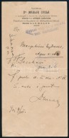 1901-1925 Kis Okmány Tétel: Rimaszombati Elismervény, Mahler Gyula NÅ‘gyógyász... - Unclassified