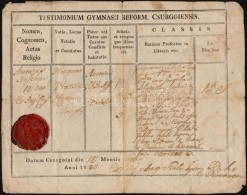 1825 A Csurgói Református Gimnázium Bizonyítványa, Rányomott... - Unclassified