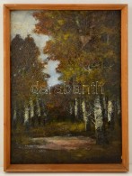 Rudnay Jelzéssel:Fasor. Olaj, Karton, Keretben, 49×35 Cm - Altri & Non Classificati