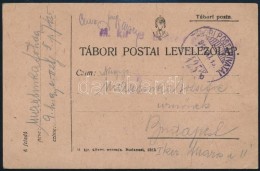 1918 Tábori Posta LevelezÅ‘lap 'TP 425 B' - Other & Unclassified