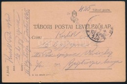 1918 Tábori Posta LevelezÅ‘lap 'M.KIR. 16. HONVÉD GYALOGEZRED' + 'TP 425 A' - Other & Unclassified