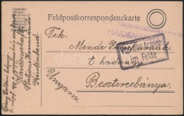 1917 Tábori Posta LevelezÅ‘lap 'K.u.k. Etappenstationskommando HAIDENSCHAFT' - Autres & Non Classés