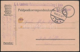 1914 Tábori Posta LevelezÅ‘lap 'K.K. Landwehr Rekonvaleszentenabteilung I. Wels' - Altri & Non Classificati