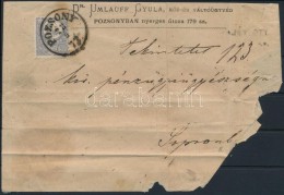 1873 Réznyomat 25kr Sérült Levélen ,,POZSONY' - Sopron - Other & Unclassified