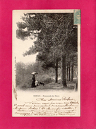 27 EURE, BERNAY, Promenade Des Monts, Animée, 1905, (Walter) - Bernay