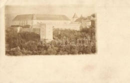 * T2/T3 Zólyom, Zvolen; Vár / Castle, Photo (EK) - Non Classificati