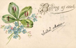 T2 1901 Boldog új évet! / New Year Greeting Card, Clover, Floral Emb. Litho - Unclassified