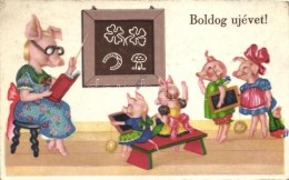 T2/T3 New Year, Pig School - Non Classificati