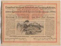 Budapest 1904. 'Erzsébet Királyné Sanatorium Sorsjegykölcsön' Sorsjegye 5K... - Unclassified