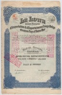 Belgium / Antwerpen 1924. 'La Lowa Société Anonyme D'Importation & D'Exportation Au Congo Belge... - Non Classificati