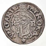 1538K-B Denár Ag 'I. Ferdinánd' (0,49g) + 1539K-B Denár Ag 'I. Ferdinánd' (0,50g)... - Non Classificati