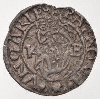 1573K-B Denár Ag 'Miksa' (0,49g) + 1574K-B Denár Ag 'Miksa' (0,41g) T:2
Hungary 1573K-B Denar Ag... - Non Classificati