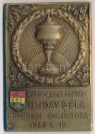 1933. 'Buday Béla B(alaton)kenesei Emléktúra 1933 X. 15. - Autó-motorosztály'... - Non Classificati