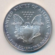 Amerikai Egyesült Államok 1993. 1$ Ag 'Amerikai Sas' T:1-,2 Kis Patina 
USA 1993. 1 Dollar Ag 'American... - Non Classificati