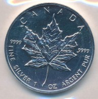 Kanada 1991. 5D Ag 'II. Erzsébet' Lezárt 'RMC (Royal Canadian Mint)' Fóliatokban (31,1g/0.999)... - Non Classificati