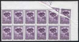 GJ.1312, 1965/8 25P. Quebracho Tree, Beautiful Sheet Corner Block Of 12 With SPECTACULAR PAPER FOLD, VF Quality! - Other & Unclassified