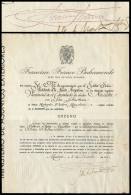 Diploma Of 6/DE/1948 Signed By FRANCISCO FRANCO, Excellent Quality! - Otros & Sin Clasificación