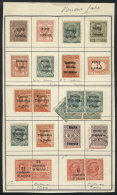 VARIETIES: Page With Stamps Of Venezia Giulia + Trente And Trieste + Venezia Tridentina Issued In 1919, All With... - Other & Unclassified