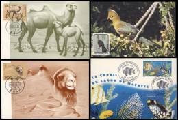 TOPIC ANIMALS: 19 Maximum Cards Of Various Countries, Very Fine General Quality. - Otros & Sin Clasificación