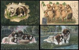 ANIMALS: 9 Old Beautiful PCs, General Quality Is Fine To Excellent! - Non Classificati