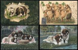 ANIMALS: 9 Old Beautiful PCs, General Quality Is Fine To Excellent! - Sin Clasificación