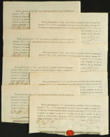 14 Similar Receipts (some With A Different Total In Pesos) Of The Year 1847: "Matriz Del Documento Nº... Que... - Andere & Zonder Classificatie