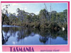 (715) Australia - TAS - Narcissus River - Wilderness