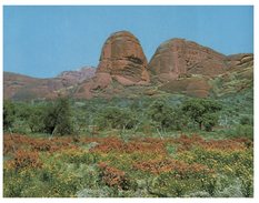 (715) Australia - NT - The Olgas - Uluru & The Olgas