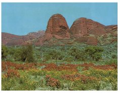 (715) Australia - NT - The Olgas - Uluru & The Olgas