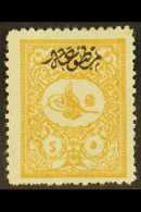 1901 5pi Yellow Buff, For Foreign Mail, Ovptd "Printed Matter, SG N194, Very Fine Mint. Scarce Stamp. For More... - Otros & Sin Clasificación