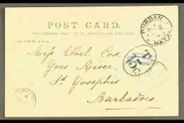 NATAL - U.P.U. SYSTEM POSTAGE DUE 1902 (Nov) Picture Postcard From Durban To BARBADOS, Unstamped But Still... - Sin Clasificación