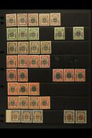1902-03 CROWN TYPES. FINE MINT COLLECTION With Perf Types & State I Printings, Inc At Least Three Examples Of... - North Borneo (...-1963)